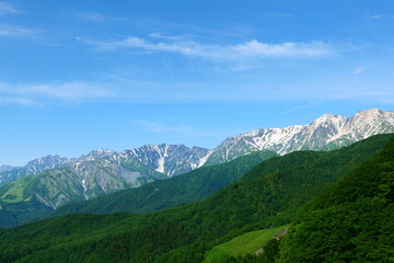 Fototapeta premium 初夏の栂池自然園。小谷、長野、日本。6月下旬。