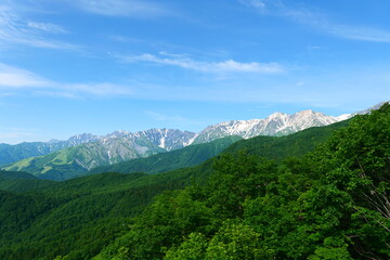 Naklejka premium 初夏の栂池自然園。小谷、長野、日本。6月下旬。