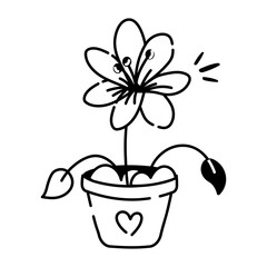 Playtycodon grandiflorus flower icon in doodle style 