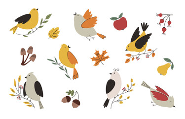 Fototapeta premium Cute autumn birds vector set. Collection of fall elements for design of postcards, clothes, stickers and posters.