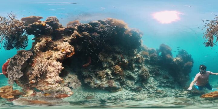 VR 360 underwater footage of the male freediver swimming on the healthy coral reef in Raja Ampat region in Indonesia