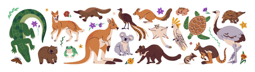 Native Australian fauna and flora set. Marsupial animals, Tasmanian¬†devil, koala, wombat, cockatoo, crocodile. Australia symbols: kangaroo, emu. Flat isolated vector illustrations on white background