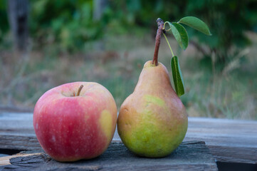 Apple and pear on a wooden background. No people.