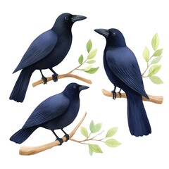 Obraz premium Three black ravens sitting on branches adorned with green leaves, illustrated in a spooky style. Perfect for Halloween or nature-themed designs.