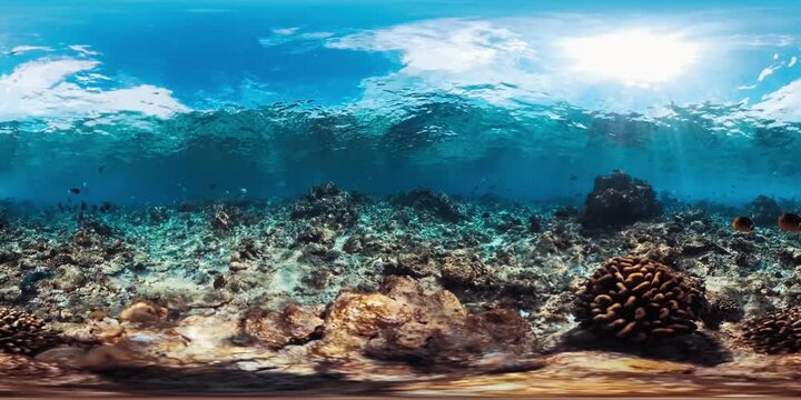 360 VR footage of the coral reef in the Maldives with some fish swimming around