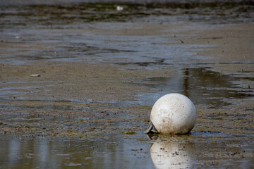White bouy on the ground of a dried out lake