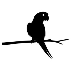 Vibrant Parrot Icon Design with Transparent Background – High-Quality Vector Art – Perfect for Nature, Wildlife, and Tropical-Themed Digital Projects and Branding