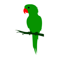 Vibrant Parrot Icon Design with Transparent Background – High-Quality Vector Art – Perfect for Nature, Wildlife, and Tropical-Themed Digital Projects and Branding