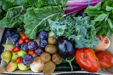 Ready-to-deliver organic products, Salt, Girona