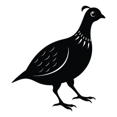 Illustration of Partridge silhouette on white