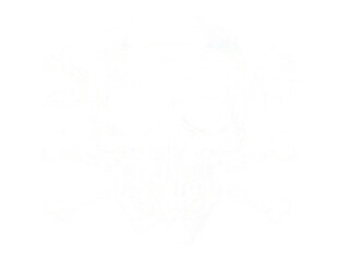 A pirate skull and crossbones graphic with a bandana and eye patch.