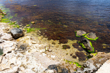 Rocky shoreline with algae near the Fishing port of Ravda, Nesebar municipality, Burgas Province, Bulgarian Black Sea coast