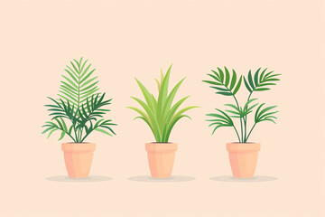 Obraz premium Illustration of three potted plants with lush green leaves