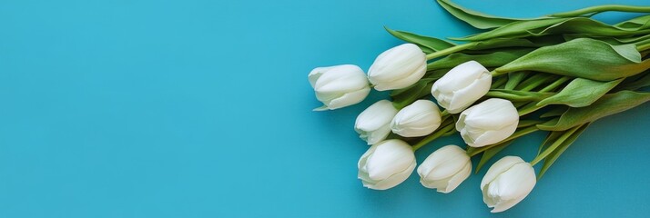 Obraz premium A beautiful bouquet of white tulips arranged on a vibrant blue background, symbolizing purity, love, hope, new beginnings, and springtime.