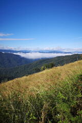 Summer mountain landscape with green meadows,  and a panoramic sky filled with clouds