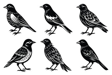 Bird silhouette vector art illustration set