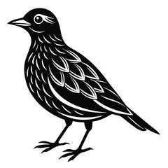 Bird silhouette vector art illustration set