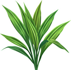 Fototapeta premium A close-up of a lush green palm frond.