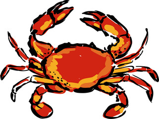 Hand drawn Italian summer food and drinks  illustration. Sketch style party wedding and picnic icons.