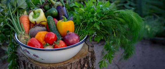 vegetables in a bowl on a hemp. Bio healthy food. Organic vegetables