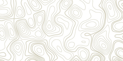 Very simple old topographical map with hight curves vector. Fish Fillet Texture, Salmon fillet texture, fish pattern.