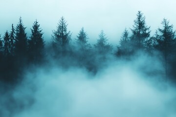 Misty forest landscape with towering trees shrouded in fog, creating an ethereal and tranquil atmosphere.