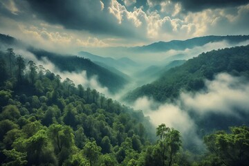 Obraz premium Misty Mountainscape with Forested Hills