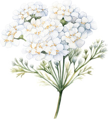 Fototapeta premium Delicate white flowers with green stems and leaves, perfect for a spring or summer floral arrangement.