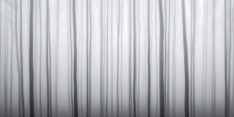 Obraz premium Serene forest with dreamy sky and foggy minimalist mood. Minimalist landscape conceptual image for backgrounds, ads or templates.
