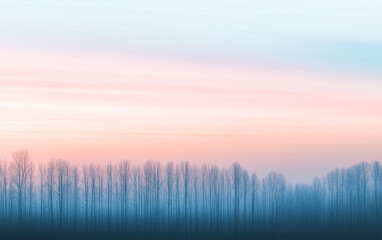 Serene forest with dreamy sky and foggy minimalist mood. Minimalist landscape conceptual image for backgrounds, ads or templates.