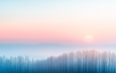 Obraz premium Serene forest with dreamy sky and foggy minimalist mood. Minimalist landscape conceptual image for backgrounds, ads or templates.
