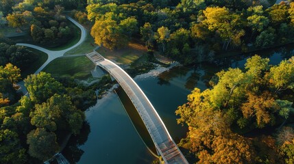 Capture the elegant curves of a bridge with a sweeping, graceful design.