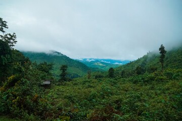 A lush green field with a cloudy sky in the background