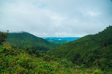 Fototapeta premium A lush green mountain range with a cloudy sky in the background
