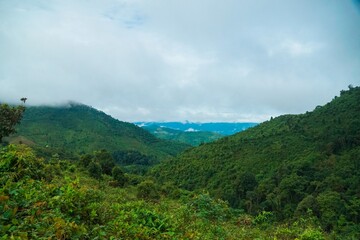 Obraz premium A lush green hillside with a cloudy sky in the background