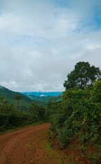A dirt road with a tree in the foreground and a mountain in the background