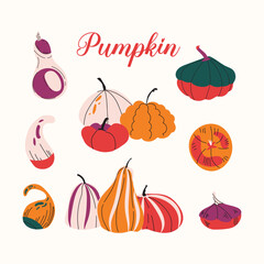 Hand drawn pumpkin vector set. Autumn, fall, thanksgiving and Halloween decoration. Cute pumpkins vintage illustration