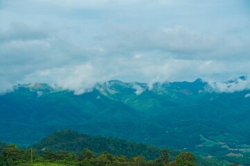 Obraz premium The mountains are covered in lush green trees and the sky is cloudy