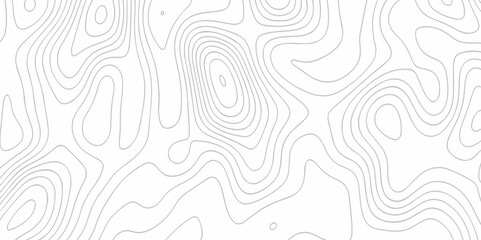 Pattern with grid lines seamless topography counter map. abstract sea mounted map area space geometric line technology topo landscape mountain striped cartography map texture background.