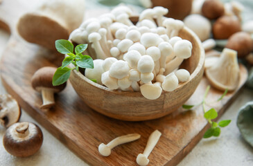 Assortment of various raw mushrooms on gray concrete background.