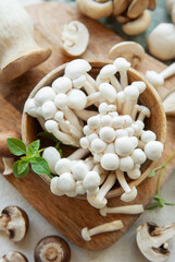 Assortment of various raw mushrooms on gray concrete background.