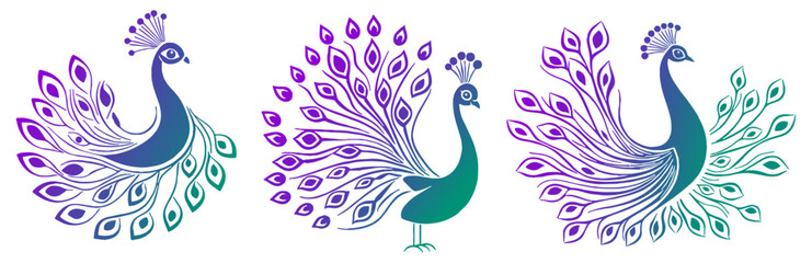 Peacock Silhouette, Elegant and Graceful Design - Flat Vector Illustration