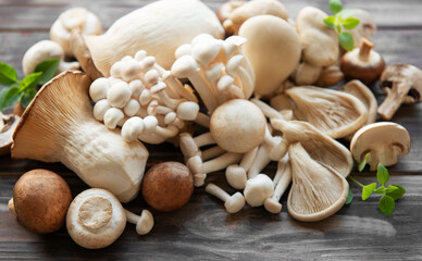 Assortment of various mushrooms