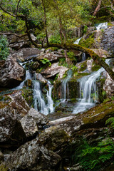 Waterfall, Natural Park Fragas do Eume, Biosphere Reserve, Galicia, Spain