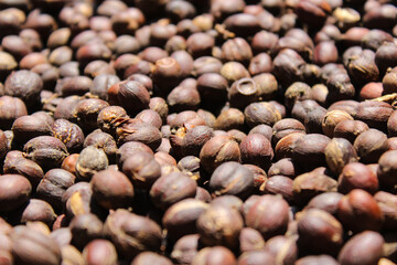 Close up of Coffee Beans Berries drying natural process