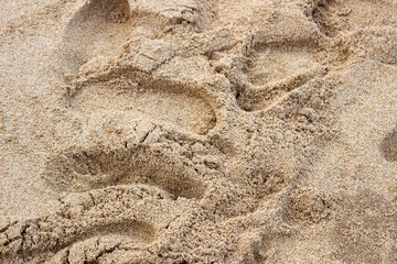 Beach sand with traces of tourists' footprints
