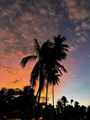 Obraz premium trees at sunset in Arugam Bay
