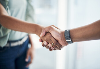 Business people, handshake and agreement with meeting for introduction, thank you or welcome at office. Closeup of employee, colleague or coworkers shaking hands for deal, b2b or partnership together