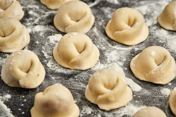 Handmade Ukrainian meat dumplings, ready for cooking, traditional varenyky with meat filling