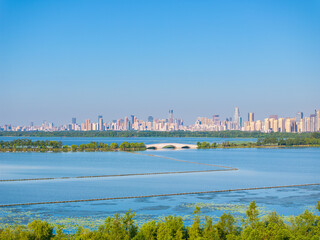 Summer scenery of Wuhan East Lake Scenic Area